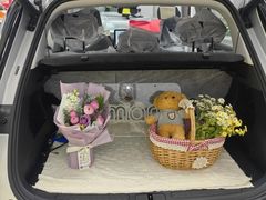 -上海浦东smart汽车全功能店(金桥店)