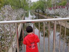 -元大都城垣遗址公园