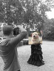 -帆拉斐婚纱摄影(春熙店)