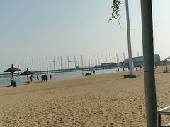 -碧海金沙
