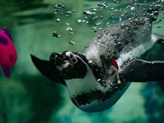 -太平洋海底世界