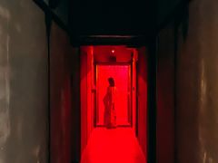 -Mr.Fox狐狸先生超级密室(南山店)
