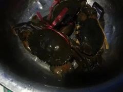 -七欣天香辣蟹火锅(苏州相城VIP总店)