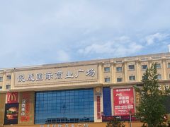 -金塔傣乡·云南德宏民族特色菜·傣味手抓饭(新亚洲店)
