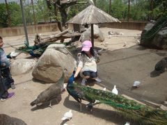 android_upload_pic-西安秦岭野生动物园