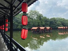 -侨美·唐荔园·40年地道粤菜