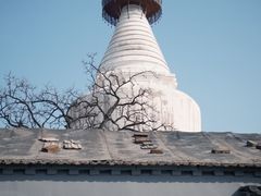 -妙应寺白塔