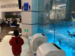 -帝企鹅自助餐厅•儿童岛•真企鹅(长隆企鹅酒店)