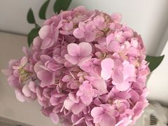 -盒马鲜生(曜一城店)