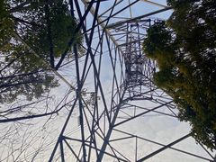 -南山植物园