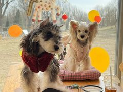 -小意思咖啡店(草桥店)