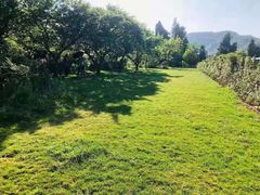 -名花谷生态庄园