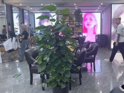 -藤野造型烫染·漂发