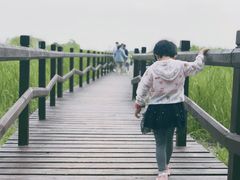 -西青郊野公园
