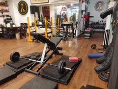 -温鉴良实用咏春拳