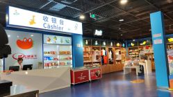 -飞览天下沉浸式飞行体验(北京旗舰店)