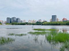 -莲花池公园