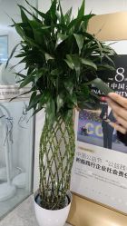 -悟空祛痘·诺奖技术专业店