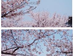 -龙美术馆(西岸馆)