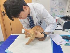 -博特宠物医院24h犬猫全科.骨科·异宠