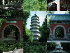-灵谷景区