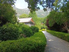 -崂山仰口游览区