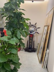 点击看大图 -禾美嘉医疗美容