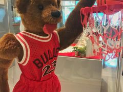 -济州岛泰迪熊博物馆