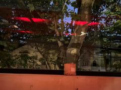 -毛辣果·酸(OHA复兴西路店)