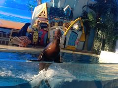 -三亚海昌梦幻海洋不夜城