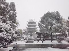 -橘子洲景区