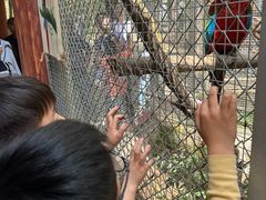-合肥野生动物园
