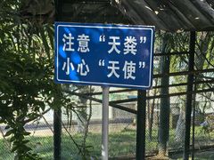 -西霞口神雕山野生动物世界