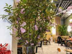 -PlantsEatery·植物食堂(REX春熙店)
