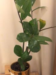 -LJOY丽锦造型·烫发染发