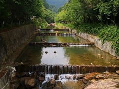 -广州白江湖森林公园