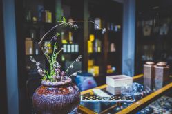 -藏晶堂(丰盛里店)