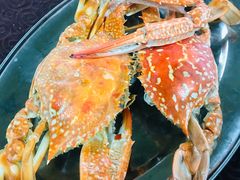 -板桥海鲜广场11排2号