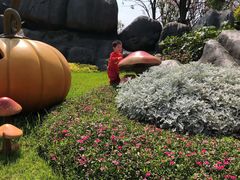 -长沙恒大文化旅游城