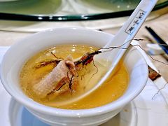 石橄榄炖番鸭-宣和苑(华侨新村店)