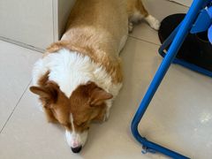 -平行世界·猫咖(首经贸店)