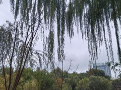 -中山公园