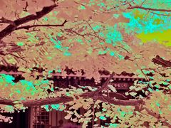 -红螺寺