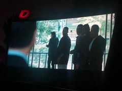 -枫花园汽车电影院(朝阳公园店)