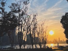 -北外滩滨江绿地