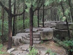 -腊山国家森林公园