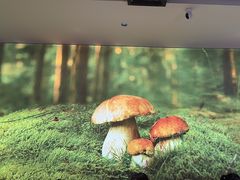 -椒王火锅(厚街万达店)