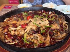 -老板恋上鱼(恒隆广场店)