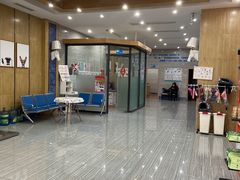 -瑞派名望志远动物医院·猫科·內科·异宠专科(直港大道店)