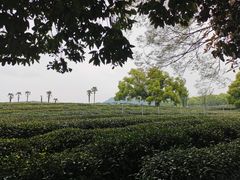 -茅家埠
